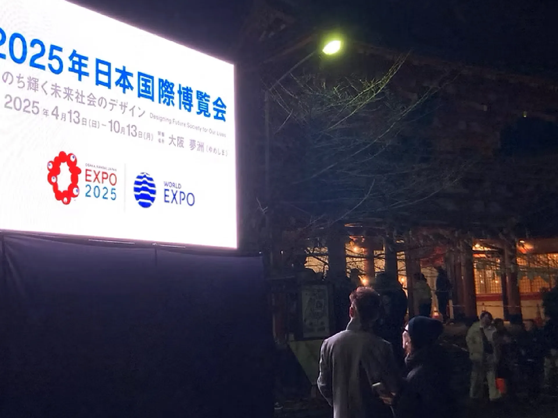 新聞折込広告の背景