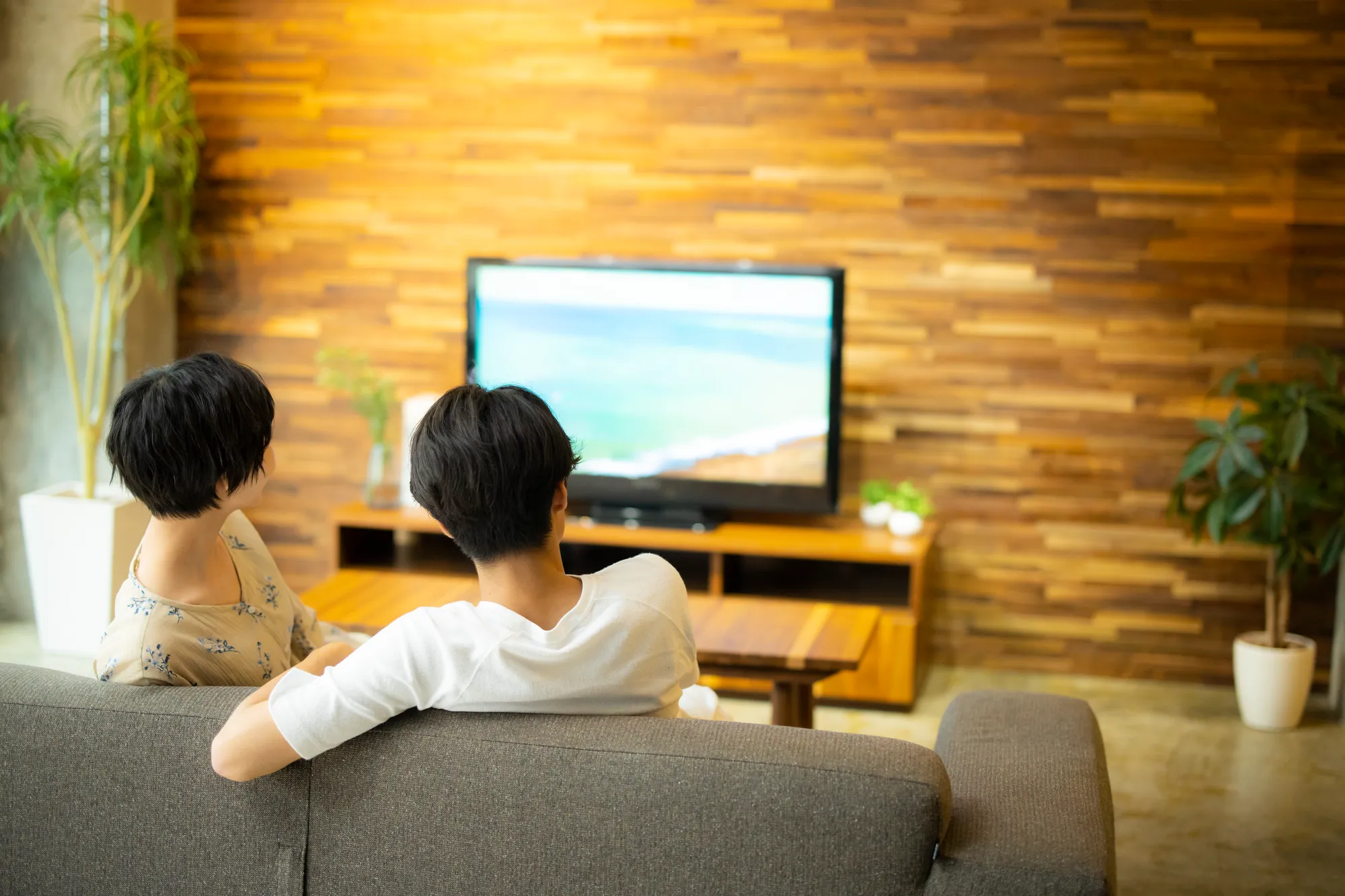 テレビ広告の画像